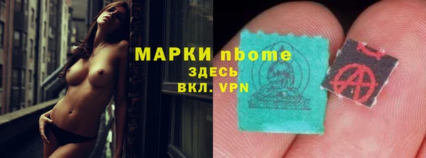 крисы Верея