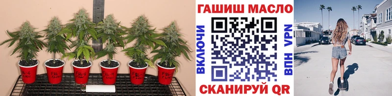 где можно купить mega ссылка Дистиллят ТГК вейп мориарти Telegram Заполярный