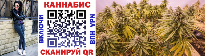Бошки марихуана SATIVA & INDICA  дарнет шоп  нарко площадка как зайти  Заполярный 